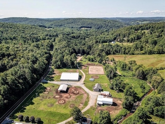 139 Callicoon Center Rd, Jeffersonville, NY 12748