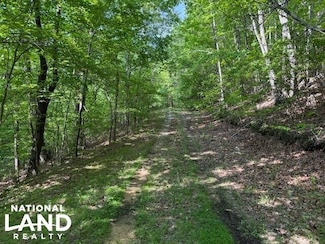 0 County Road 103 Unit 23391954, Mentone, AL 35984