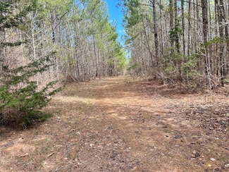 0 Walker Rd Unit LotWP001 23395943, Edgefield, SC 29824