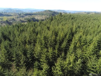0 Justus Rd Unit 1758724, Onalaska, WA 98570