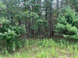 0 Whitehall Rd, Whitehall, MI 49461