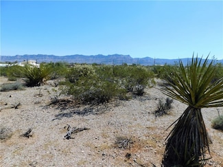 549 Overton Dr, Meadview, AZ 86444
