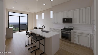 255 S Gay St Unit 204, Knoxville, TN 37902