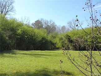 0000 Daffron Rd, Cottondale, AL 35453