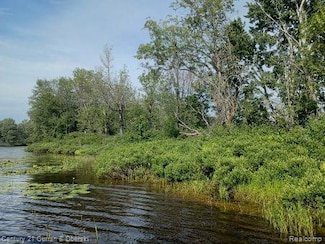 0000 Tahquamenon River (Shore), McMillan Township, MI 49868