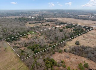 TBD Vz County Rd, Ben Wheeler, TX 75754