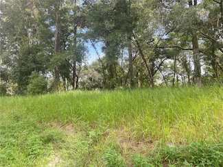 0 S Blue Lake Ave Unit MFRV4938776, Deland, FL 32724