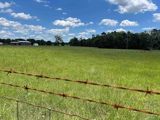 TBD Farm To Market 124, Beckville, TX 77631
