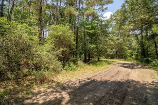 330 Wilderness Run, Trinity, TX 75862