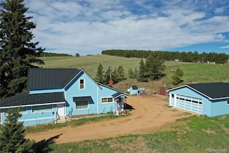 3579 County Road 42, Florissant, CO 80816