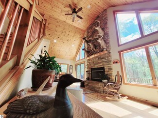 450 4th St, Fife Lake, MI 49633
