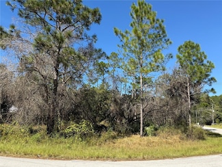 27975 Robin Roost Ln, Wesley Chapel, FL 33544