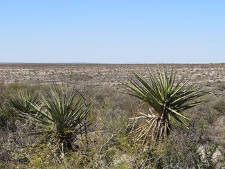 0 Hwy 90, Dryden, TX 78851