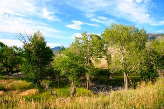 Parcel Da2 Bear Creek Loop, Ennis, MT 59720