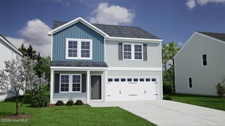 2401 Flowery Branch Dr Unit Lot 225, Castle Hayne, NC 28429