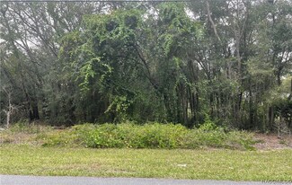 1361 E Mckinley St, Hernando, FL 34442