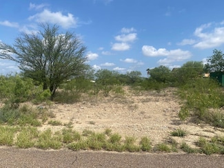 208 Ghost Rider Dr, Rosita South, TX 78852