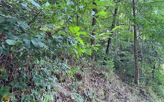 LOT 77 Fires Creek Cove, Hayesville, NC 28904