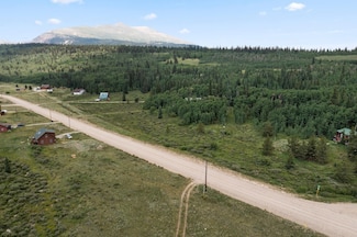 1651 Co Road 12, Alma, CO 80420