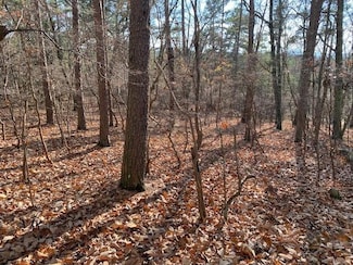 0 Quail Way Unit 7685106, Jasper, GA 30143