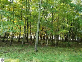 N/A Booth Rd, Au Gres, MI 48703