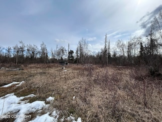 L1 & L6 S Trapline Rd, Trapper Creek, AK 99683