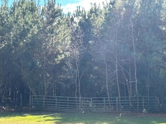 NHN Dunhurst Long Rd, Picayune, MS 39466