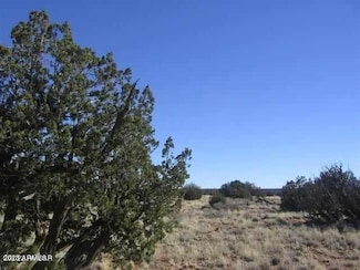 0 Sec 31 T15n R16e:nw4 Se4 Unit 92483, Heber, AZ 85928