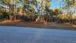 9555 N Old Mill Way, Citrus Springs, FL 34433