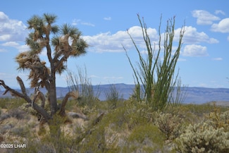 N15 Sundance, Yucca, AZ 86438