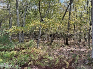 Lot 410 Fox Rd, Delaware Township, PA 18328