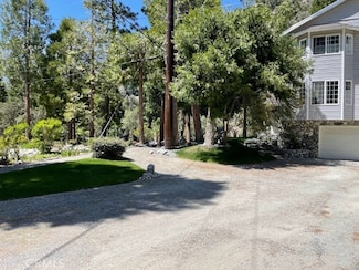 41560 Alder Dr, Forest Falls, CA 92339