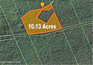 10.13 Acre Tomko Ave, Hanover Township, PA 18706