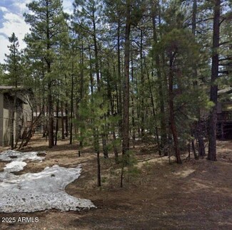 17455 Stallion Dr Unit 54, Flagstaff, AZ 86017