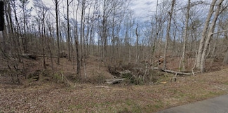 0 Cox Rd Unit 25475533, Cumming, GA 30028