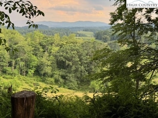 TBD Wilson Hwy, Independence, VA 24348