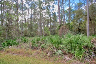 421 W Highbanks Rd, Debary, FL 32713