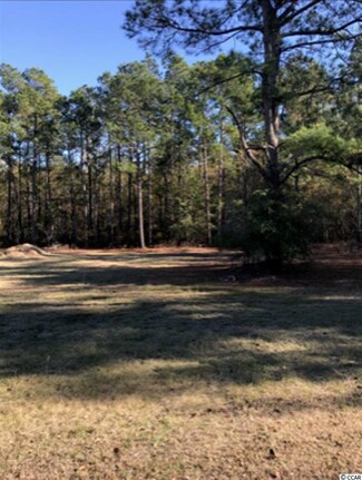 8 Church Landing Rd, Nichols, SC 29581