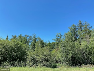 TBD (L9,B2) Goldfinch Ln SW, Bemidji, MN 56601