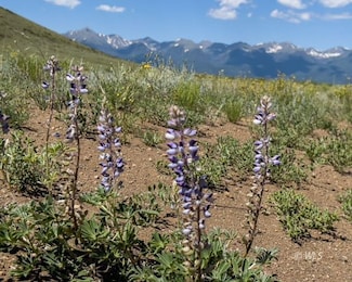 TBD L13 County Road 255, Westcliffe, CO 81252