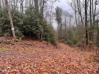 162 Murph Potter Ln, Roan Mountain, TN 37687