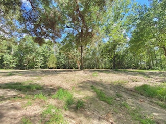 17134 State Highway 21 E, Grapeland, TX 75844