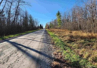 00 S Crawford Rd, Au Gres Township, MI 48749