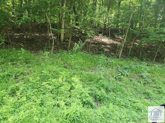 0 Carver Rd, Collinsville, VA 24078