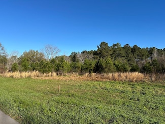 0 Alsobrooks Rd, Picayune, MS 39466