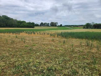 3249 Fredonia Rd, Manchester, TN 37355