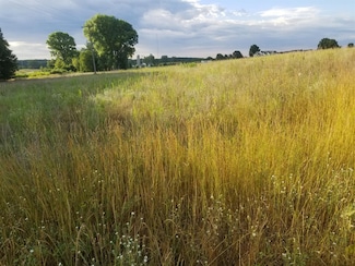 859 Greystone Dr Unit 13, Chelsea, MI 48118