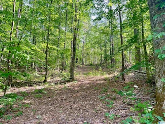 00 Sportsman Lake Rd Unit 1, Springville, AL 35146