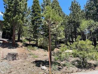 636 Majestic Pines Dr Unit 21, Mammoth Lakes, CA 93546