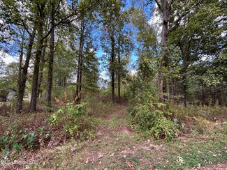 0 Cedar St Unit 4101336, Florence, MS 39073